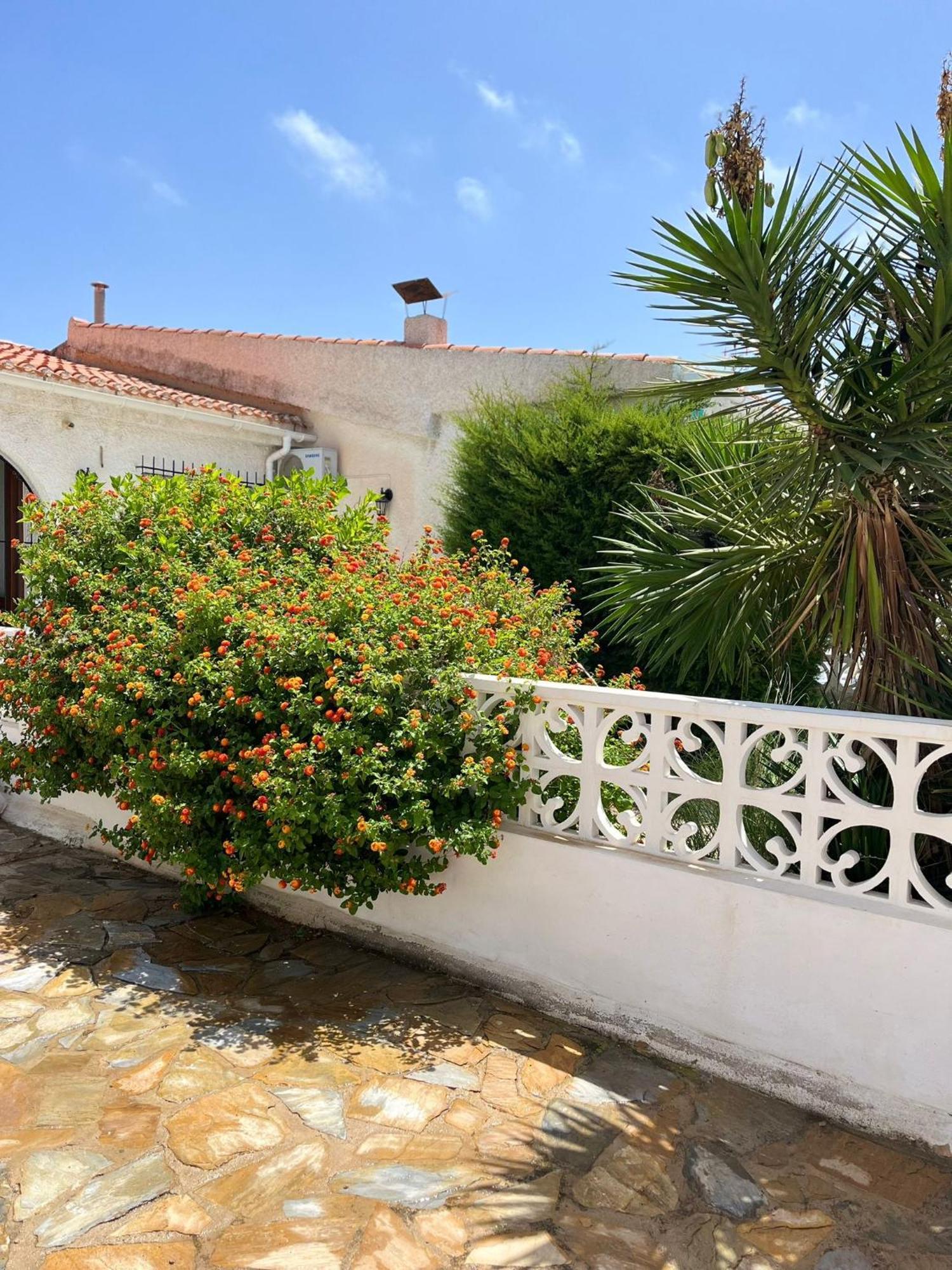 Holiday Apartments Torrevieja Exterior photo